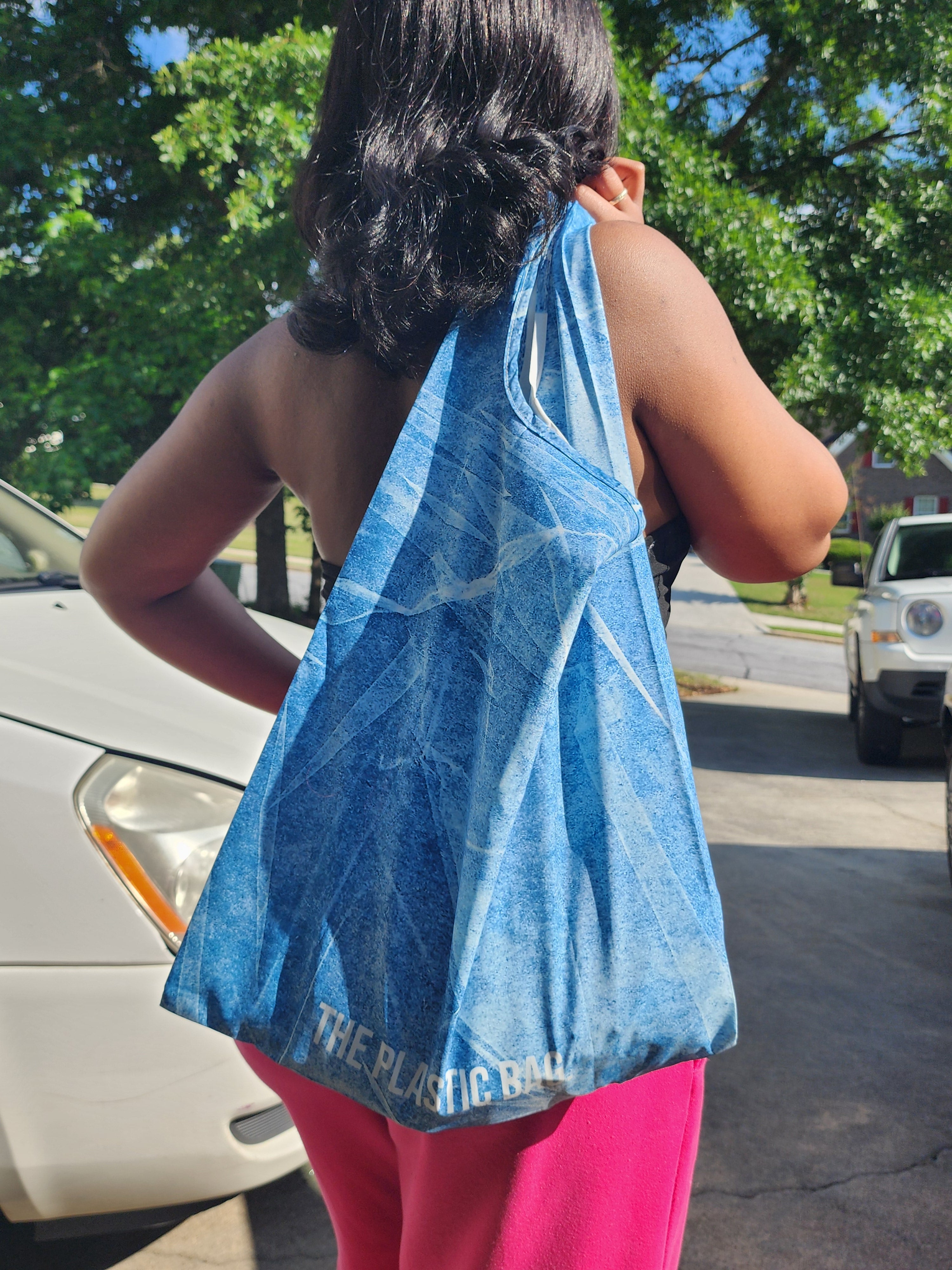 The Plastic Shopping Bag