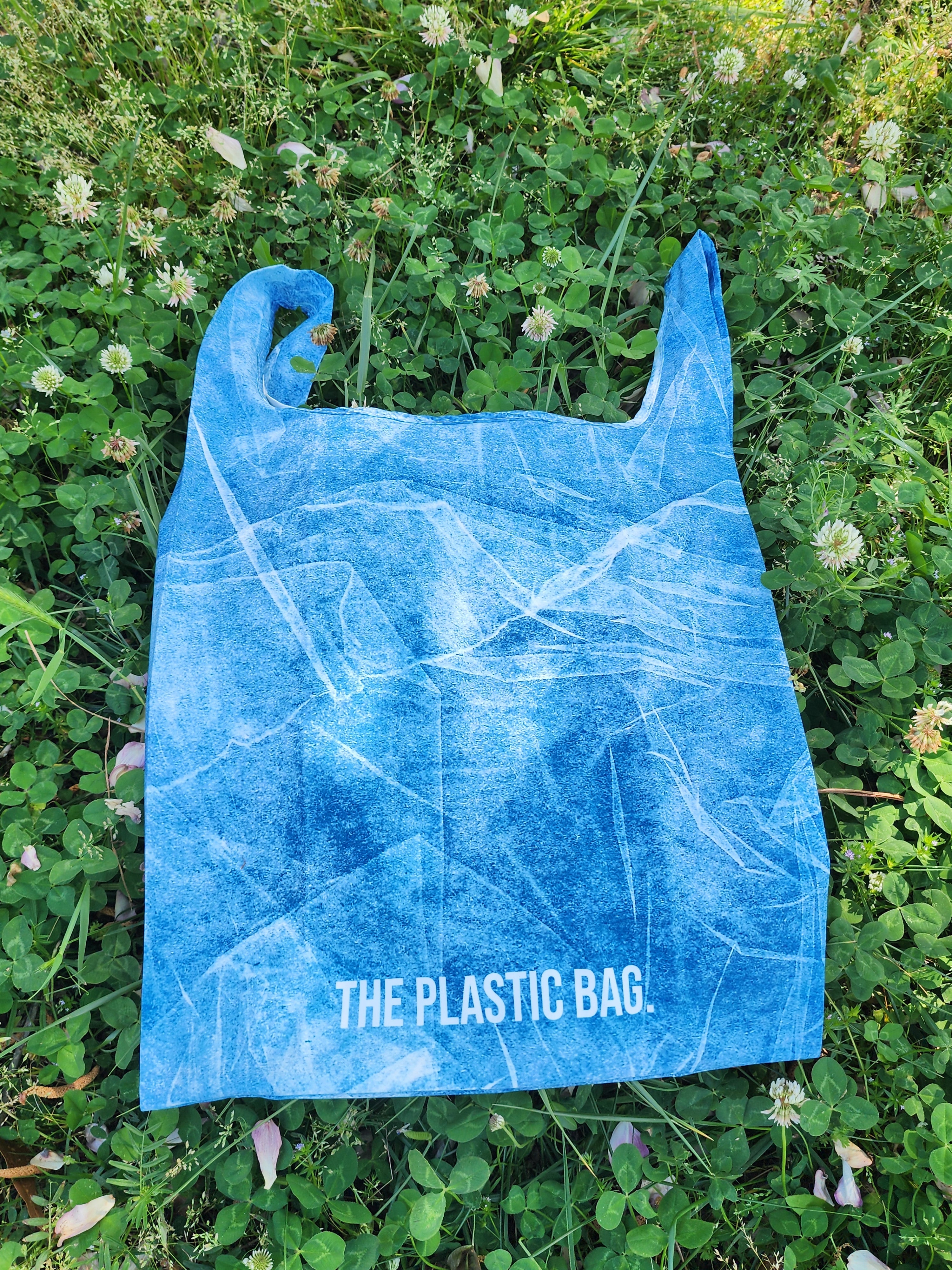The Plastic Shopping Bag