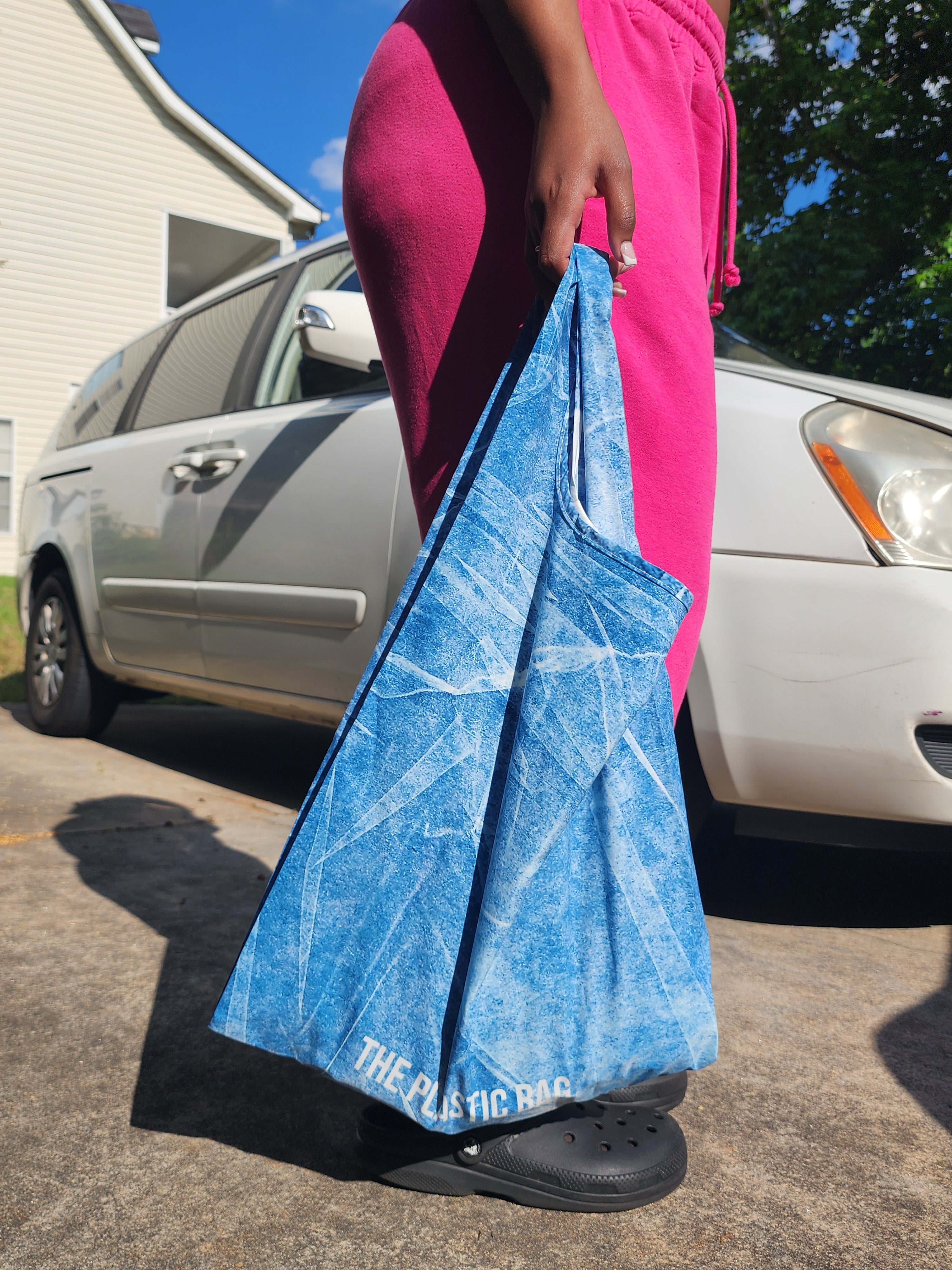 The Plastic Shopping Bag