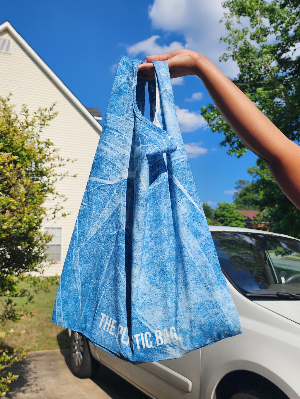 The Plastic Shopping Bag